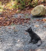 Wildlife im Omega Parc (23)