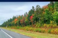 Vorboten Indian Summer