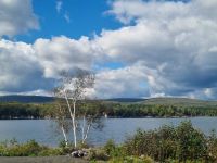 Trans Canada Highway Landscape (10)