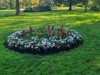 Public garden Halifax (4)