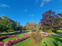 Public garden Halifax (8)