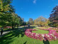Public garden Halifax (9)