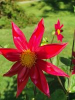 Public garden Halifax (17)