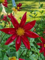 Public garden Halifax (18)