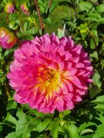 Public garden Halifax (1)