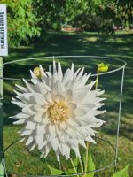 Public garden Halifax (2)