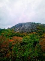 Im Acadia NP (5)