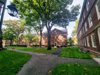 Harvard yard (1)
