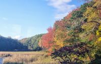 Countryside Maine (9)