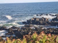 Coast of Maine (14)