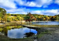 Indian Summer im Omega Park