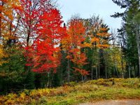 Schöne Herbstfarben im Omegapark