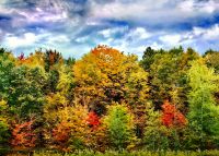 Die faszinierenden Farben des Indian Summer in Kanada