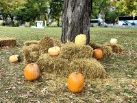 Halloween steht vor der Tür