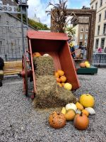Halloween Dekoration in Quebec