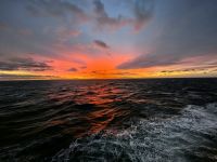 Traumsonnenuntergang an Bord