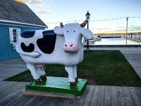 Die Insel ist bekannt für Viehzucht und Landwirtschaft, Charlottetown