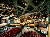 Sondern auch flugfähige Luftschiffe