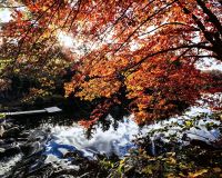 Indian Summer auf Cape Breton Island