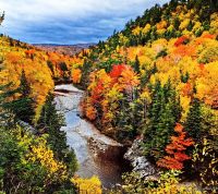 Wald und Wasser prägen Cape Breton Island