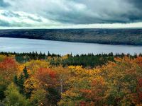 Heute haben wir leider Regenwetter auf Cape Breton Island