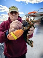 Die beeindruckenden Scheren hat der Kapitän zur Sicherheit abgebunden