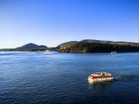 Heute bringen uns die Tenderboote nach Bar Harbor