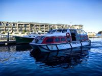 Tenderboot der Norwegian Gem im Hafen von Bar Harbor