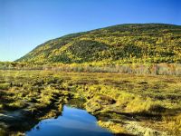 Diese Wasserstraßen hat der Biber geschaffen im Acadia Nationalpark
