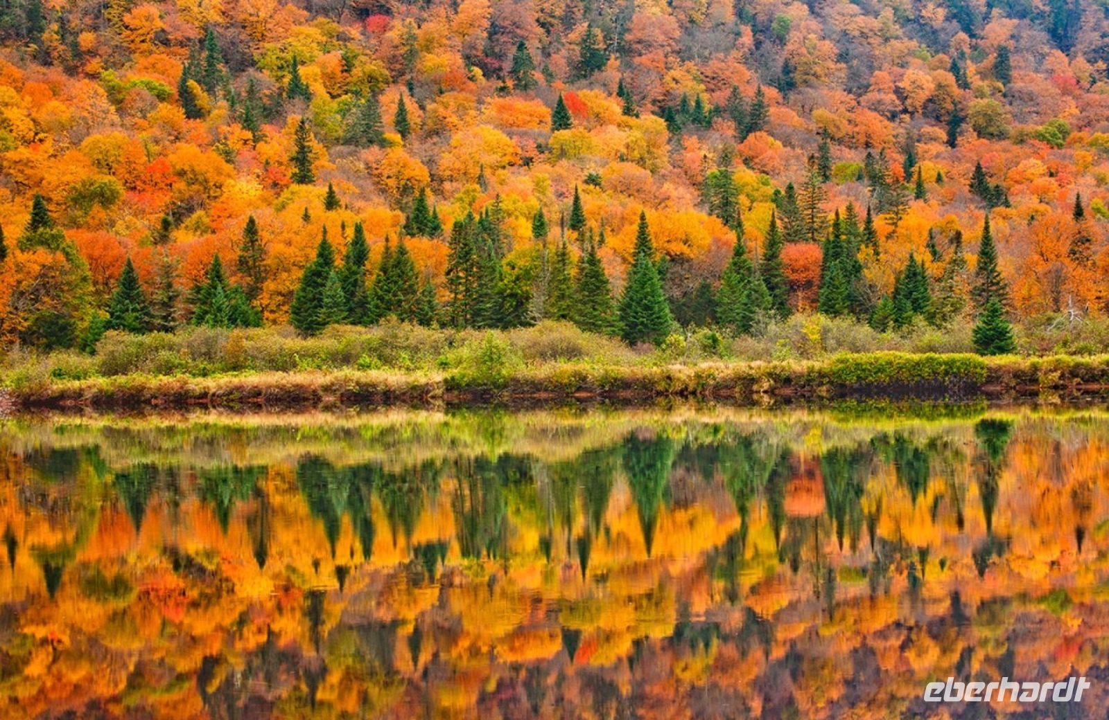 Prachtwetter heute im Acadia Nationalpark