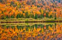 Prachtwetter heute im Acadia Nationalpark
