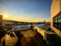 Wir fliegen nach Hause