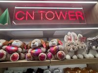 Ost-Kanada zum Indian Summer - Toronto CN Tower