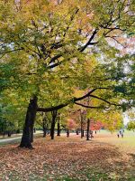 Ost-Kanada zum Indian Summer - Ottawa