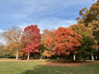 Ost-Kanada zum Indian Summer - Ottawa