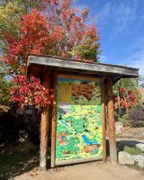 Ost-Kanada zum Indian Summer - Omega Wildpark 