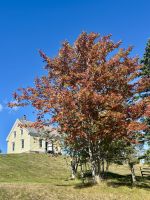 Ost-Kanada zum Indian Summer - Iona