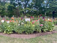 Ost-Kanada zum Indian Summer - Halifax