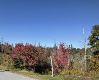 Ost-Kanada zum Indian Summer - Rückfahrt nach Halifax 