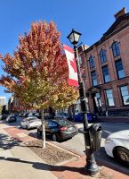 Ost-Kanada zum Indian Summer - St. John