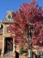 Ost-Kanada zum Indian Summer - St. John