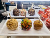 Ost-Kanada zum Indian Summer - Boston