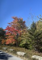 Ost-Kanada zum Indian Summer - Acadia Nationalpark 