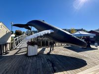 Ost-Kanada zum Indian Summer - Bar Harbour