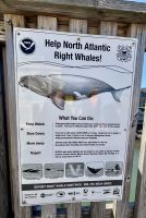 Ost-Kanada zum Indian Summer - Bar Harbour