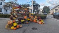 Kürbisse in Kennebunk