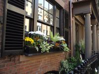 Beacon Hill