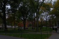 Havard University