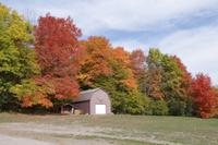 Indian Summer