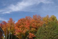 Indian Summer